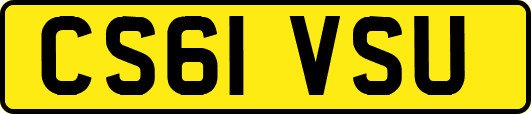 CS61VSU