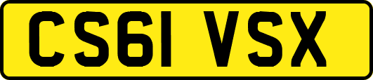 CS61VSX