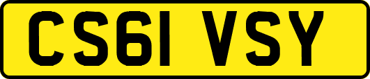 CS61VSY