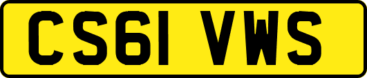 CS61VWS