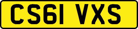 CS61VXS