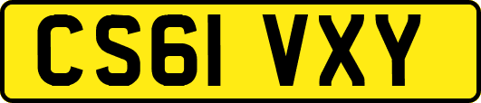 CS61VXY