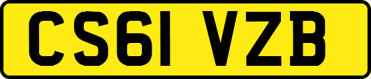 CS61VZB