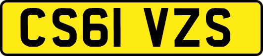 CS61VZS
