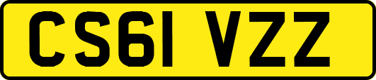 CS61VZZ
