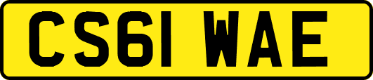CS61WAE