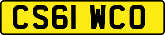 CS61WCO