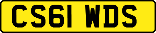 CS61WDS