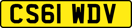 CS61WDV