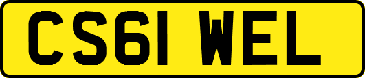 CS61WEL