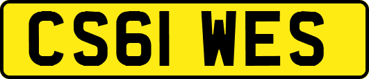 CS61WES