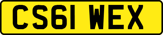 CS61WEX