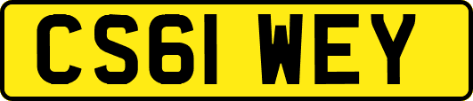 CS61WEY