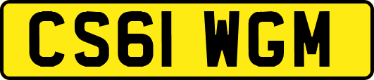 CS61WGM