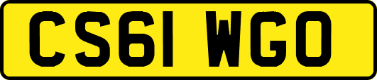 CS61WGO