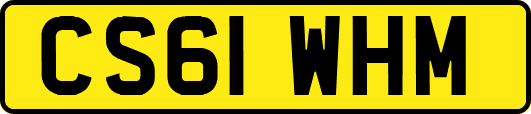 CS61WHM