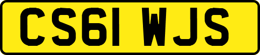 CS61WJS