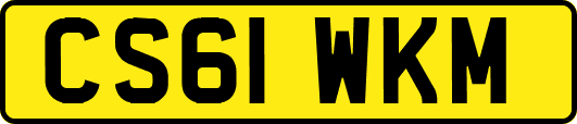 CS61WKM