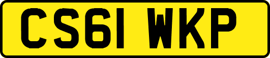 CS61WKP