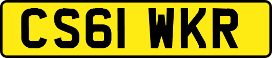 CS61WKR