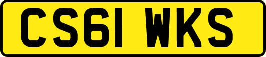 CS61WKS