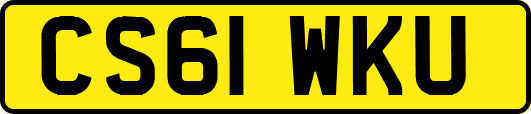 CS61WKU
