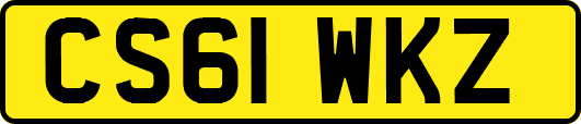 CS61WKZ