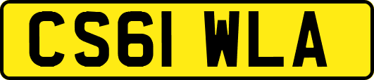 CS61WLA