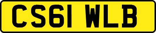 CS61WLB