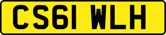 CS61WLH