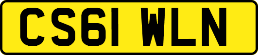 CS61WLN