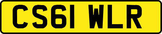 CS61WLR