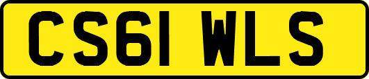 CS61WLS