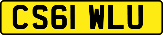 CS61WLU