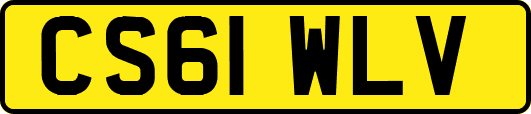 CS61WLV