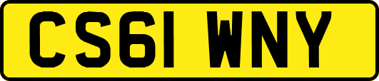 CS61WNY