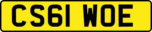 CS61WOE