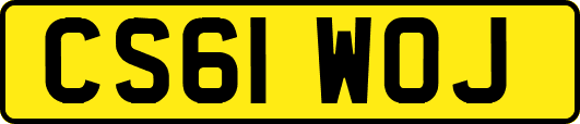 CS61WOJ