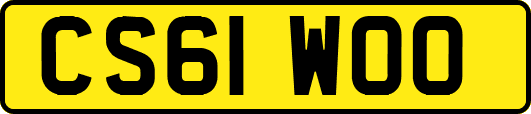CS61WOO