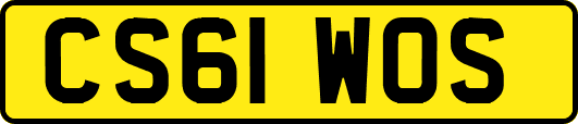 CS61WOS