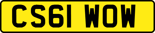 CS61WOW