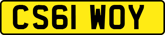 CS61WOY