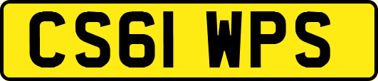 CS61WPS