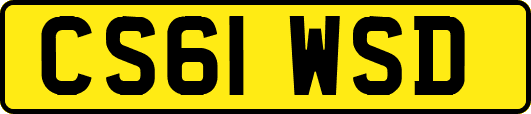 CS61WSD