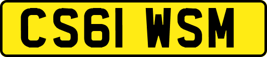 CS61WSM