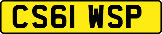 CS61WSP