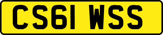 CS61WSS