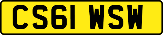 CS61WSW