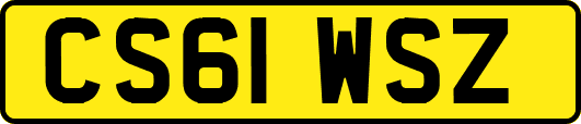 CS61WSZ