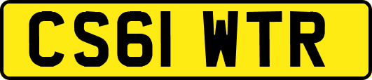 CS61WTR